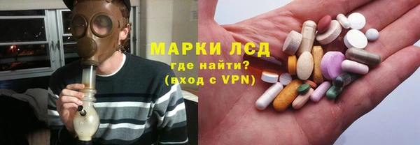шишки Абаза