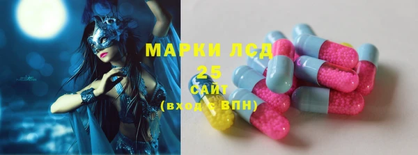 шишки Абаза