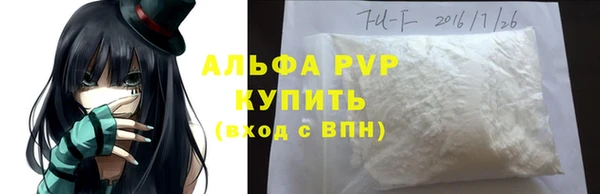 шишки Абаза