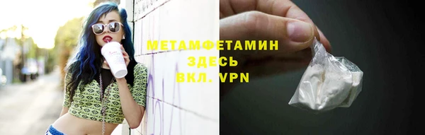 шишки Абаза