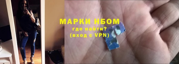 шишки Абаза
