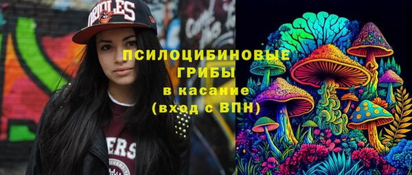 шишки Абаза