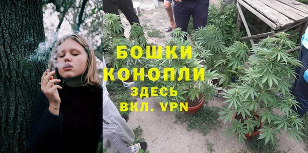 шишки Абаза